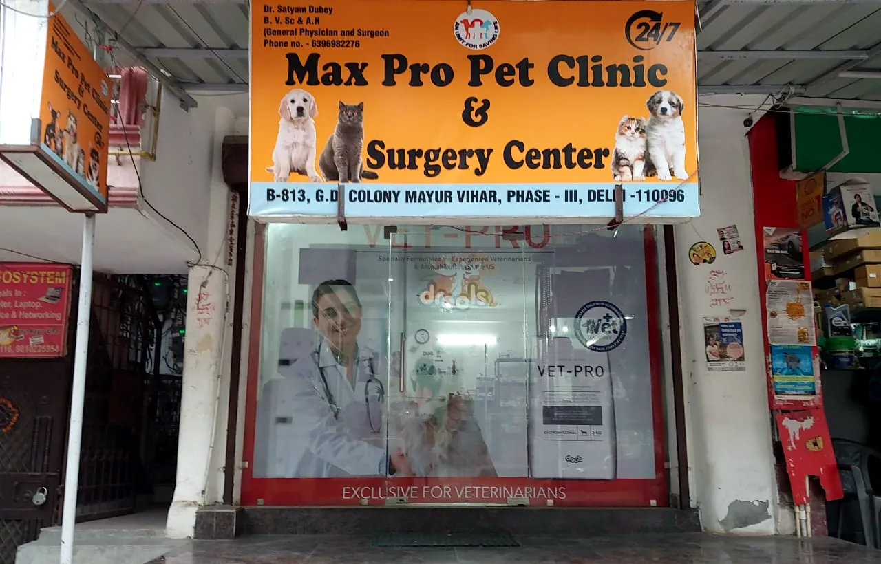 Max Pro Pet Clinic and Surgery Centre shopfront sign: Dr Satyam Dubey, B.V.Sc and A.H, general physician and surgeon, phone 6396982276, a 24/7 mark, and the B-813 G.D Colony Mayur Vihar Phase III address